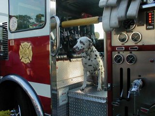 romy on fire truck